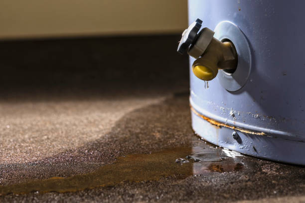 Best Flood damage cleanup  in Keeler Farm, NM
