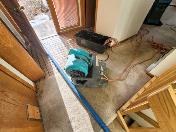 Best Mold removal after water damage  in Keeler Farm, NM