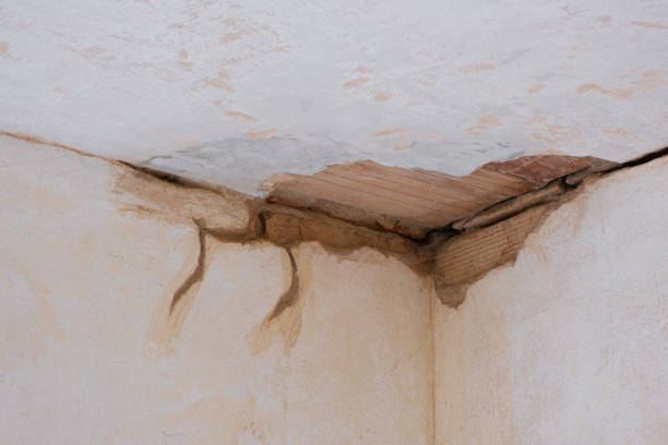 Best Ceiling water damage repair  in Keeler Farm, NM