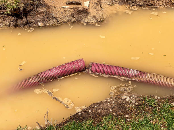 Best Water damage cleanup near me  in Keeler Farm, NM